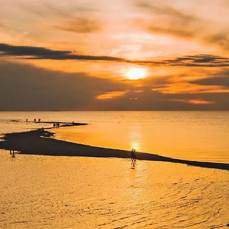 Tuulensaede - Uusi Korkeatasoinen Hiekkasaerkaet, Διαμέρισμα