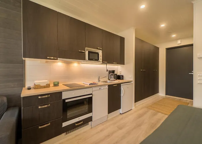 Tuulensaede - Uusi Korkeatasoinen Hiekkasaerkaet, 卡拉约基